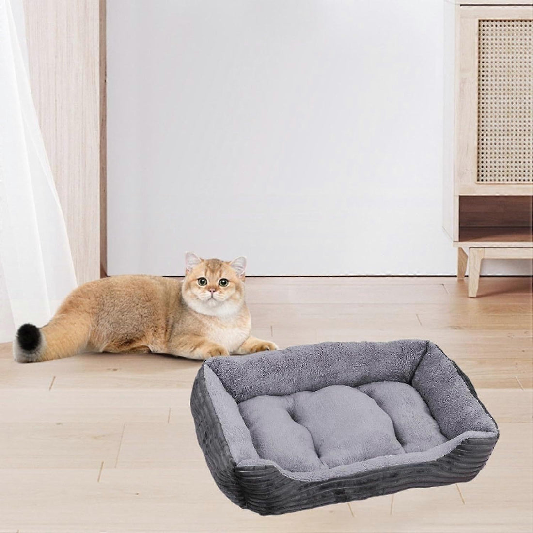 Comfort Pet Sofa Bed - Plush Velvet Couch with Removable Cover