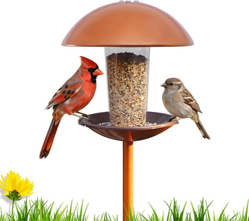 Standing Bird Feeder - Metal Pole-Mounted Wild Bird Feeder