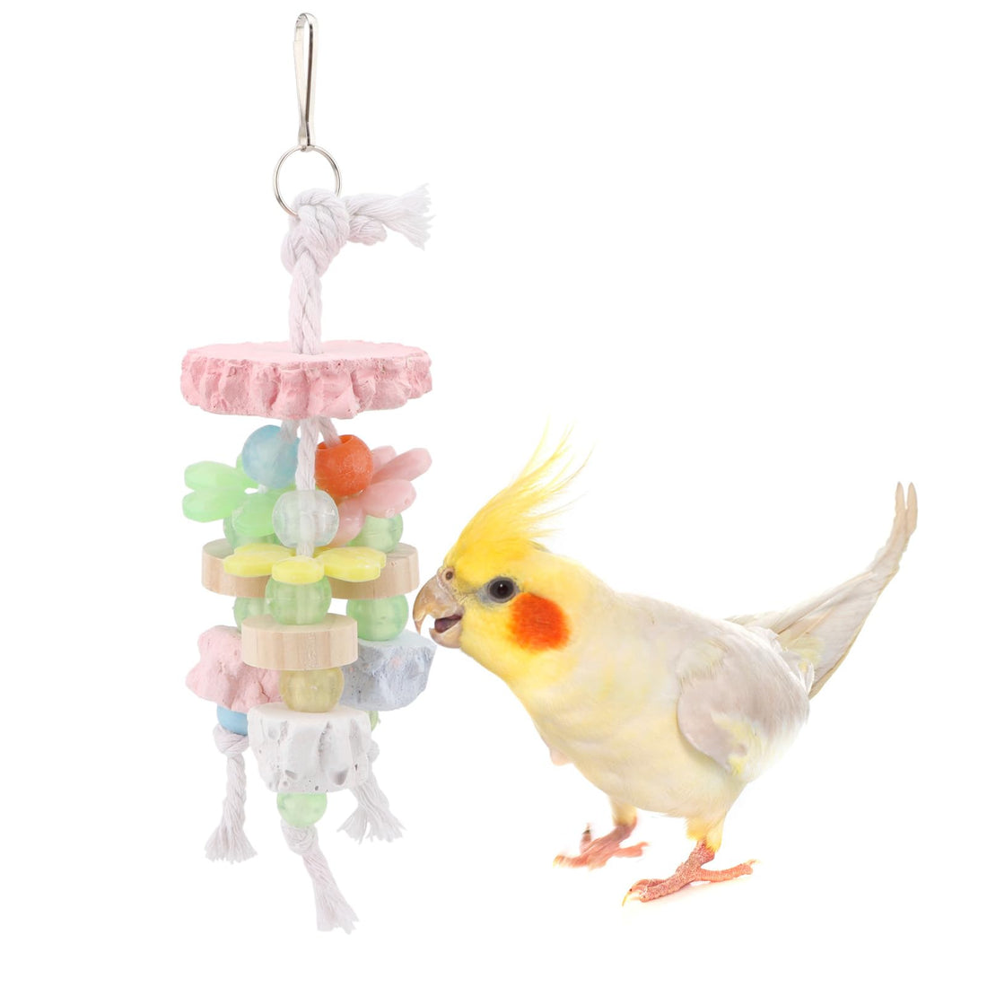 Parrot Foot Toy - Colorful Chewing & Swing Activity