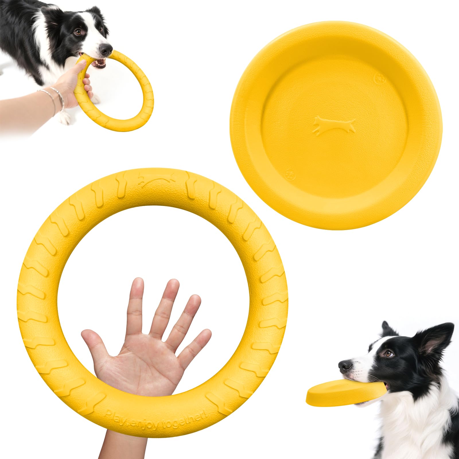 Durable Fetch Toy Set - Floating Disc and Ring for Active Play