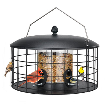 Caged Bird Feeder - Squirrel Proof Tube with Metal Mesh