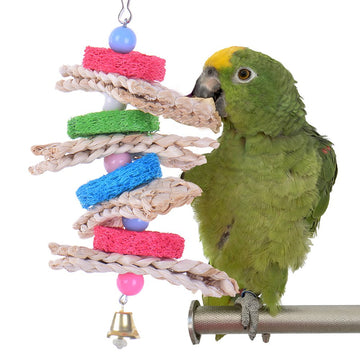 Parrot Foot Toy - Colorful Chewing & Swing Activity