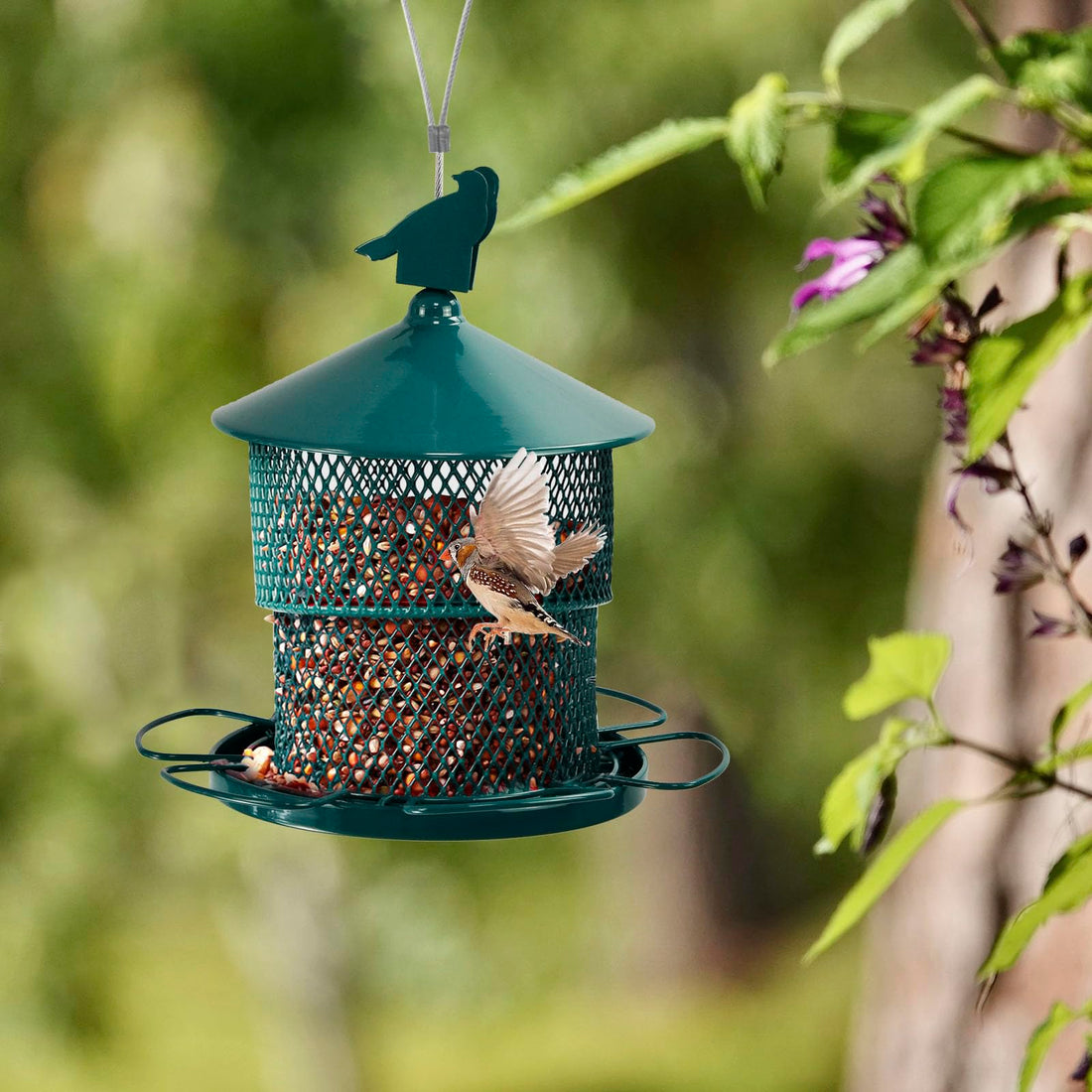 Retractable Bird Feeder - 360-Degree Feeding with Weather Protection