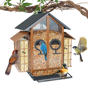 Dual Suet Bird Feeder - 4LB Capacity with Waterproof Design
