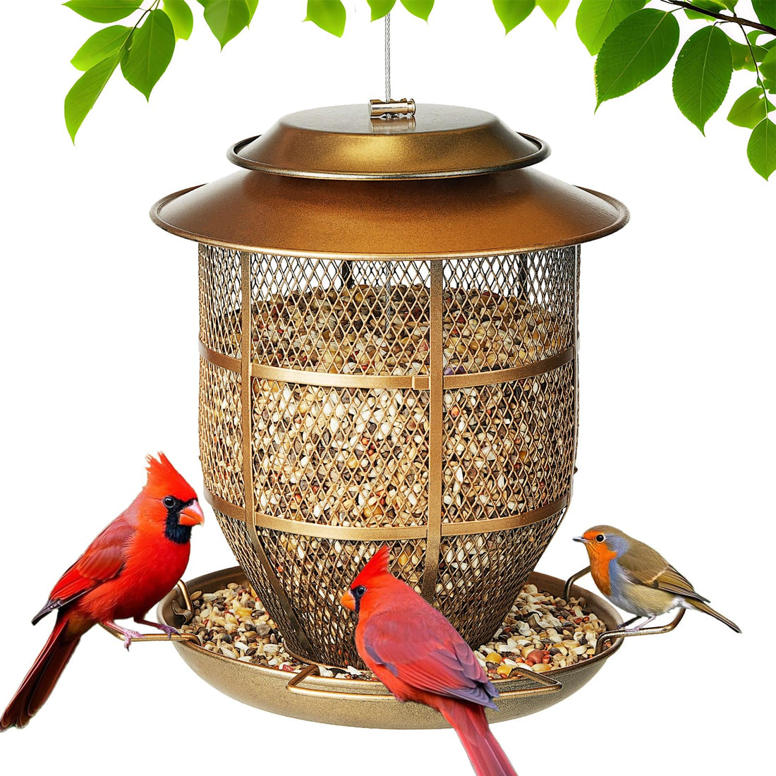 Dual Cage Bird Feeder - Metal Mesh Wild Bird Feeder with Resting Area