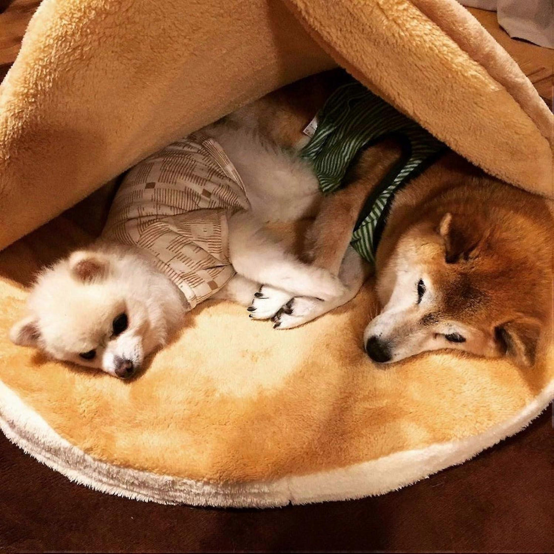 Cozy Pet Nest Mat - Plush Round Bed with Creative Pattern