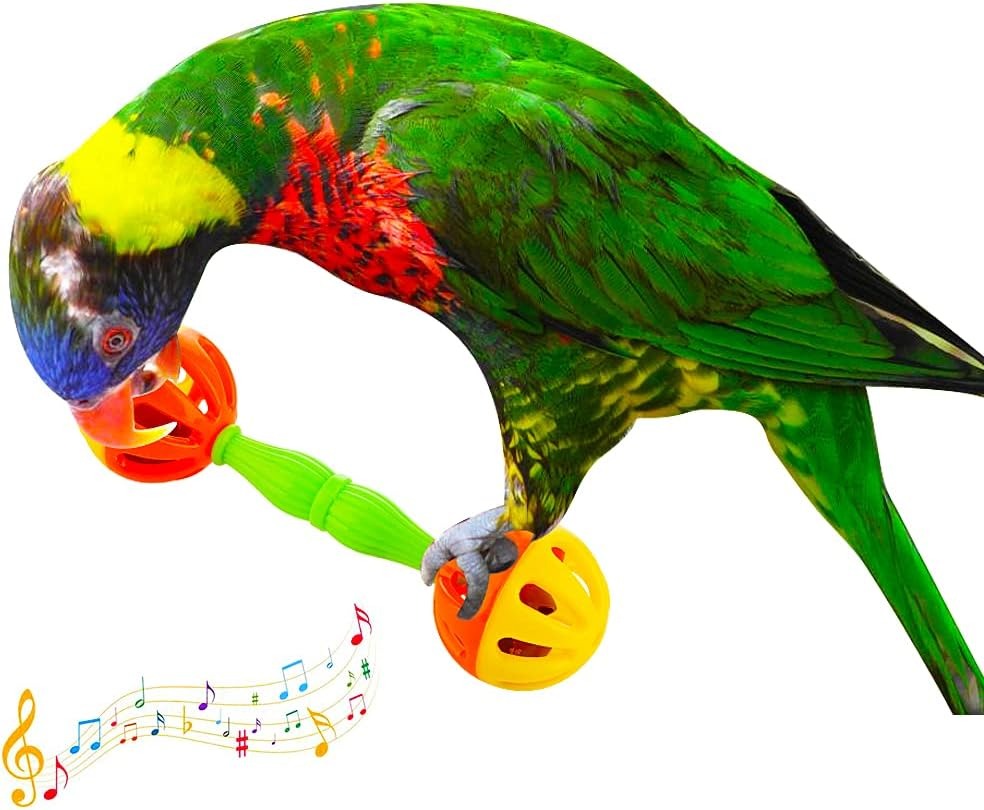 Barbell Foot Toys - 4 Pack Bird Chewing & Play Set