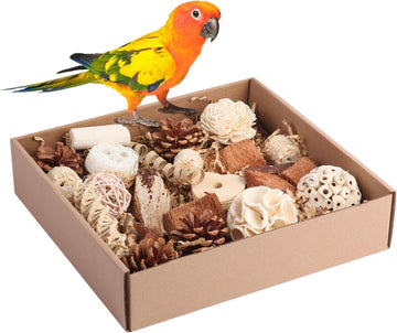 Natural Foraging Toy Box - Bird Chew & Shred Activity Set