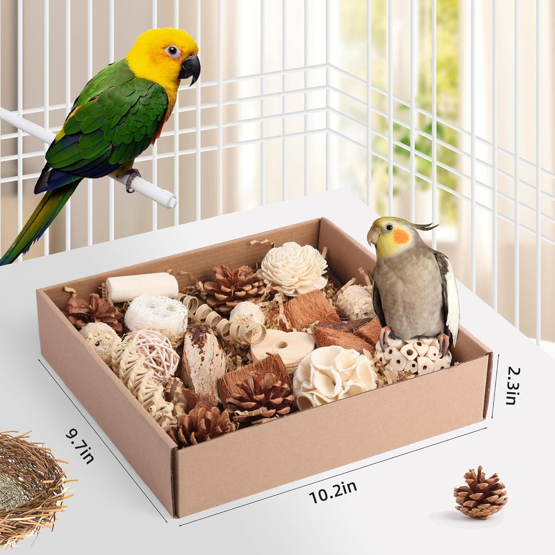 Natural Foraging Toy Box - Bird Chew & Shred Activity Set