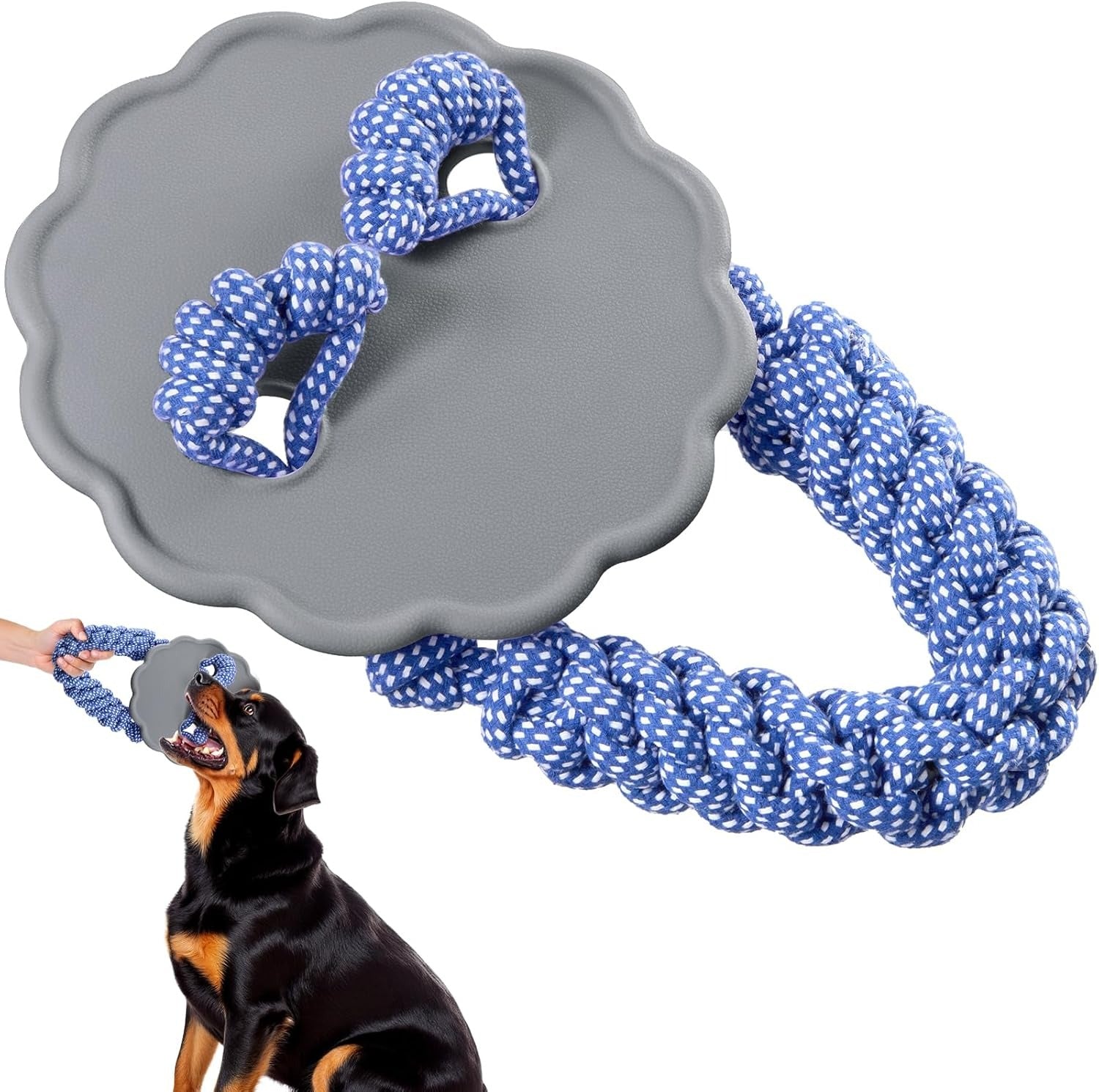 Durable Fetch Toy - Natural Rubber Disc with Rope Attachment