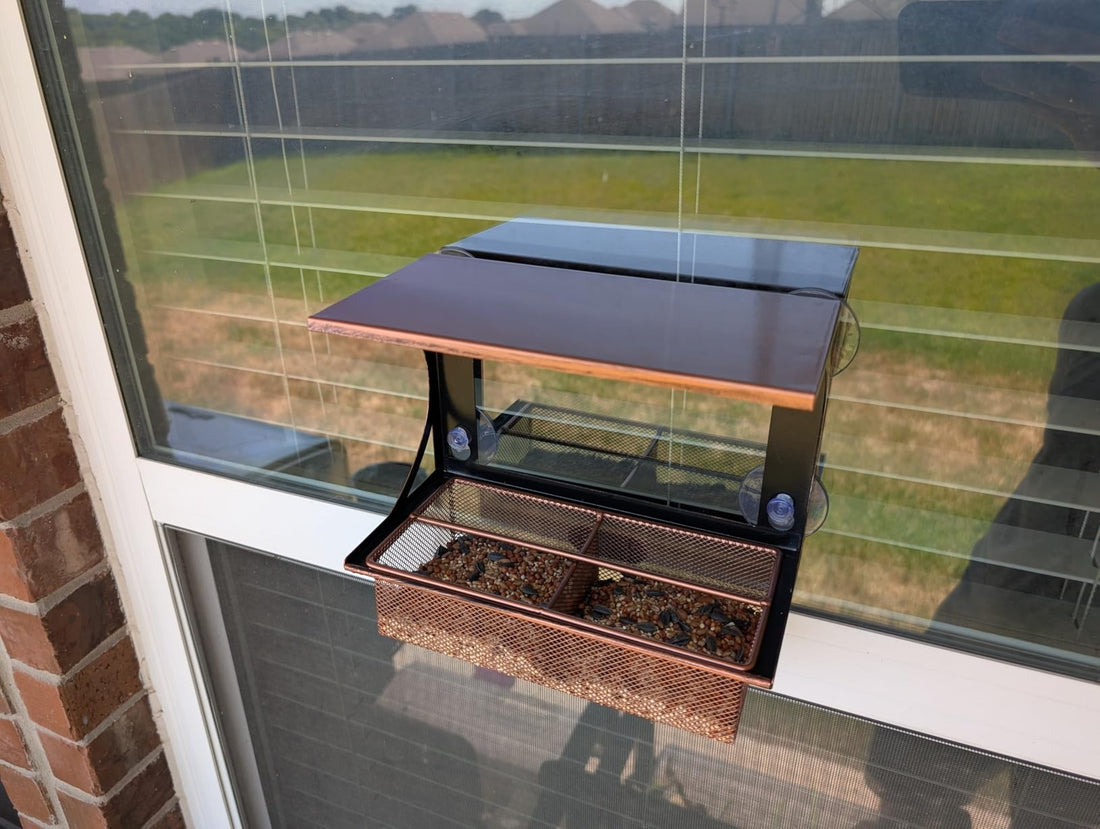 Window Bird Feeder - Suction Cup Mount with Metal Tray